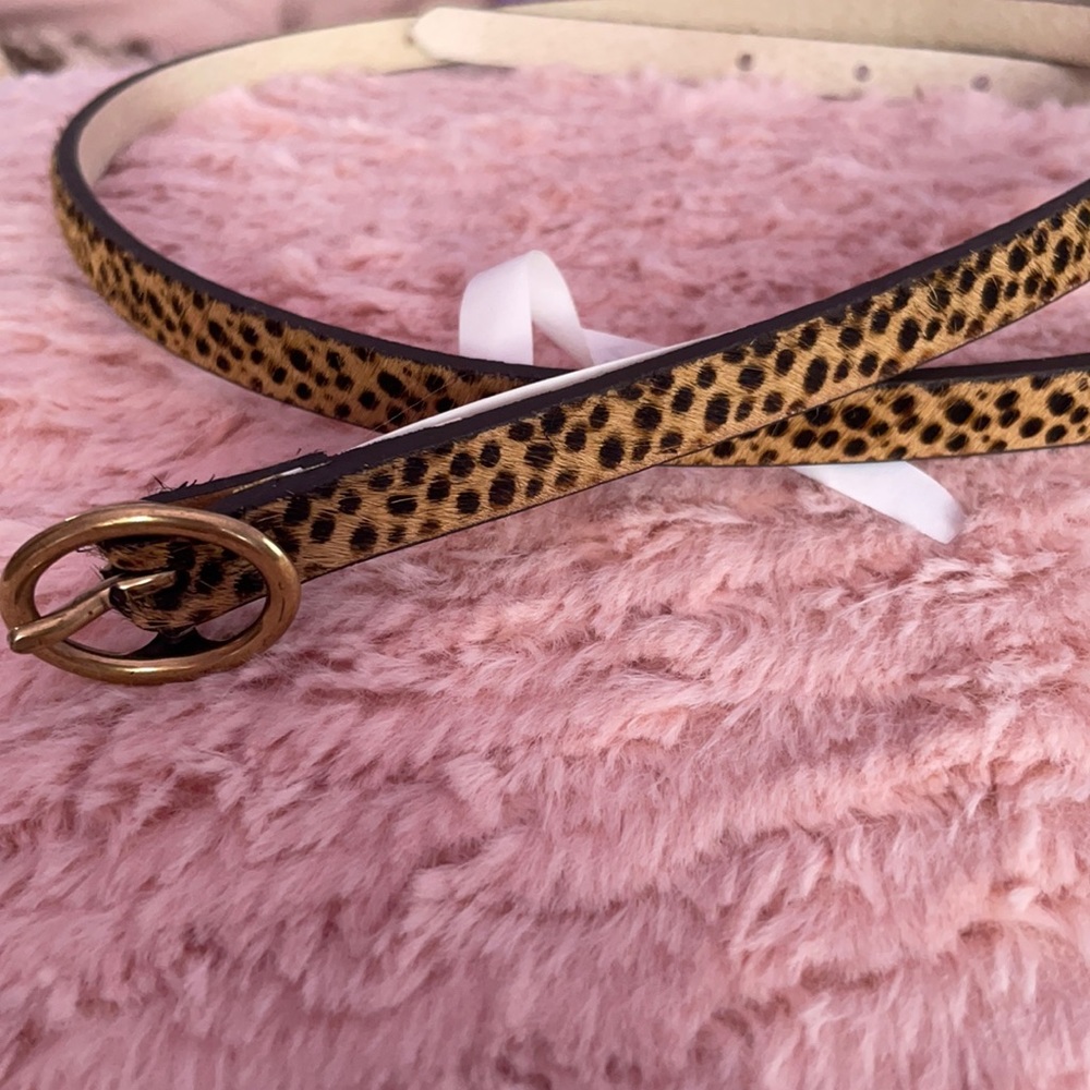 American Eagle Belt